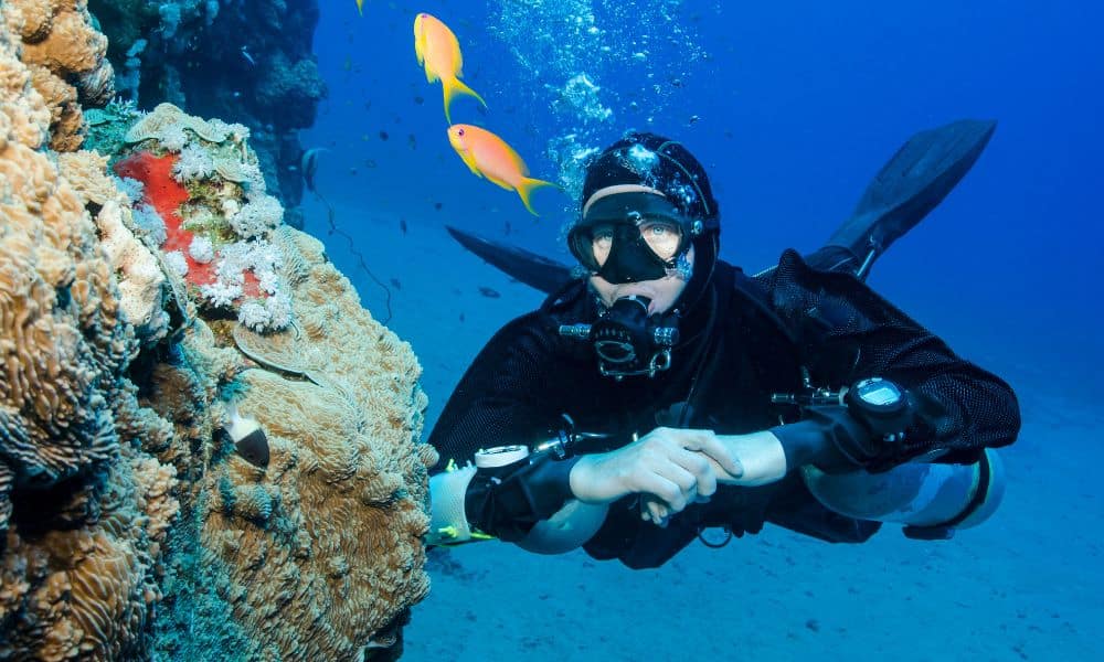 The 5 Best Scuba Diving Spots in the Bahamas