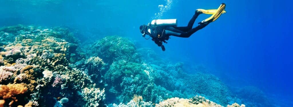 Scuba Diving Charters in the Caribbean